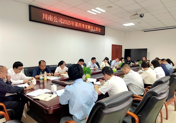 10.13 [網(wǎng)站]川南公司召開2025年第四季度稽查工作會(huì).jpg